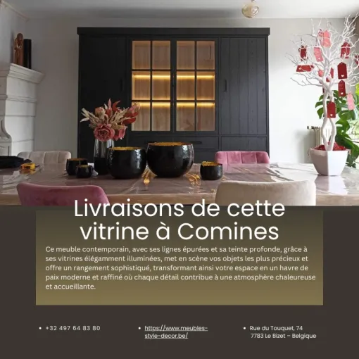 Livraisons de cette vitrine à Comines – élégance et rangement raffiné, Comines-Warneton, SRL MEUBLES STYLE-DECOR